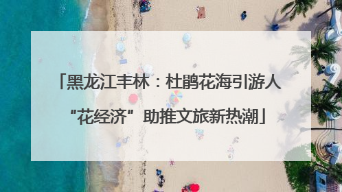 黑龙江丰林：杜鹃花海引游人 “花经济”助推文旅新热潮