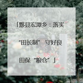 黟县宏潭乡：落实“田长制” 守好良田保“粮仓”
