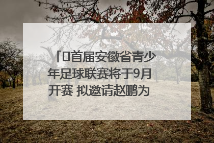 ﻿首届安徽省青少年足球联赛将于9月开赛 拟邀请赵鹏为先导赛开球