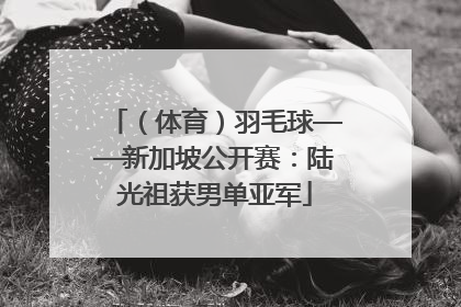 （体育）羽毛球——新加坡公开赛：陆光祖获男单亚军