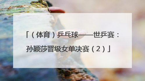 （体育）乒乓球——世乒赛：孙颖莎晋级女单决赛（2）