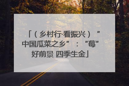 （乡村行·看振兴）“中国瓜菜之乡”：“莓”好前景 四季生金
