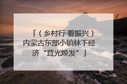 （乡村行·看振兴）内蒙古东部小镇林下经济“茸光焕发”