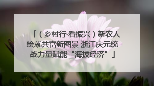 （乡村行·看振兴）新农人绘就共富新图景 浙江庆元统战力量赋能“海拔经济”