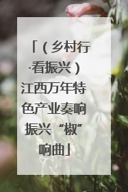 （乡村行·看振兴）江西万年特色产业奏响振兴“椒”响曲