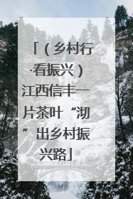 （乡村行·看振兴）江西信丰一片茶叶“沏”出乡村振兴路