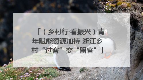 （乡村行·看振兴）青年赋能资源加持 浙江乡村“过客”变“留客”