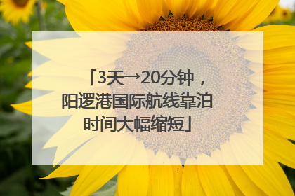 3天→20分钟，阳逻港国际航线靠泊时间大幅缩短