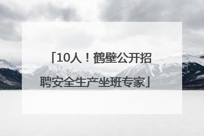 10人！鹤壁公开招聘安全生产坐班专家