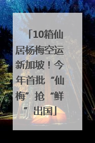 10箱仙居杨梅空运新加坡！今年首批“仙梅”抢“鲜”出国