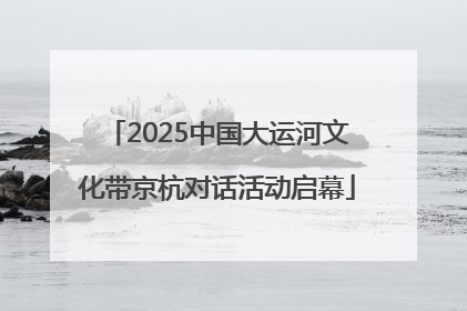 2025中国大运河文化带京杭对话活动启幕