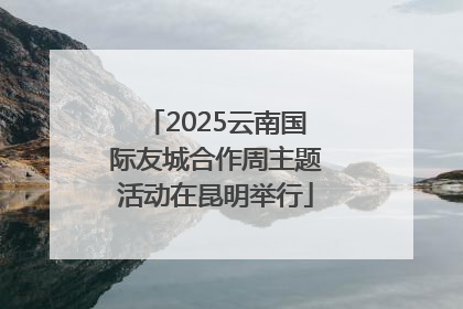 2025云南国际友城合作周主题活动在昆明举行
