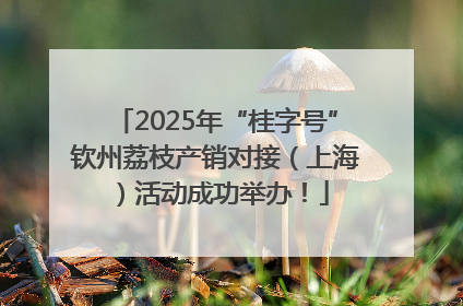 2025年“桂字号”钦州荔枝产销对接（上海）活动成功举办！