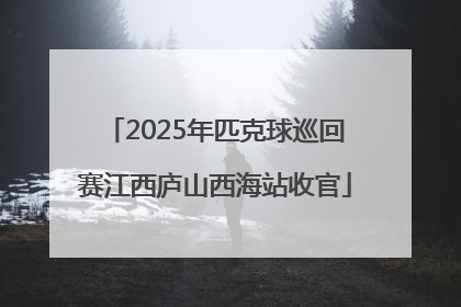 2025年匹克球巡回赛江西庐山西海站收官