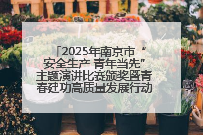 2025年南京市“安全生产 青年当先”主题演讲比赛颁奖暨青春建功高质量发展行动出征仪式举行