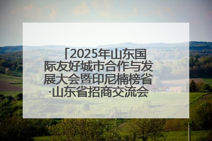 2025年山东国际友好城市合作与发展大会暨印尼楠榜省·山东省招商交流会在济南槐荫举行