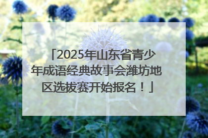 2025年山东省青少年成语经典故事会潍坊地区选拔赛开始报名！