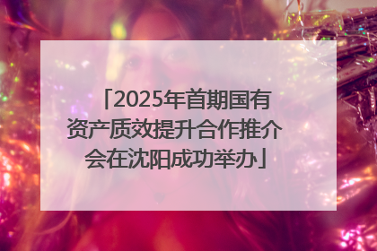 2025年首期国有资产质效提升合作推介会在沈阳成功举办
