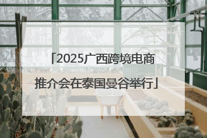 2025广西跨境电商推介会在泰国曼谷举行