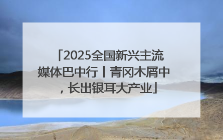 2025全国新兴主流媒体巴中行丨青冈木屑中，长出银耳大产业