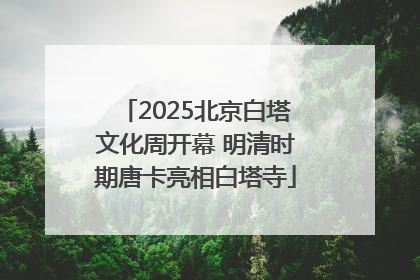 2025北京白塔文化周开幕 明清时期唐卡亮相白塔寺