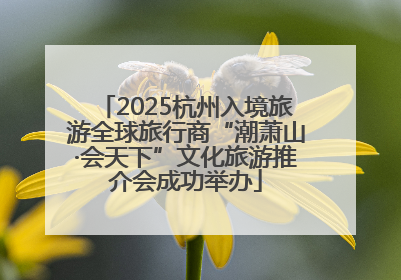 2025杭州入境旅游全球旅行商“潮萧山·会天下”文化旅游推介会成功举办