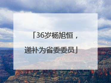 36岁杨旭恒，递补为省委委员