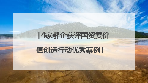 4家鄂企获评国资委价值创造行动优秀案例