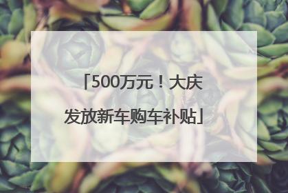 500万元！大庆发放新车购车补贴