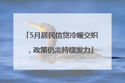5月居民信贷冷暖交织，政策仍需持续发力