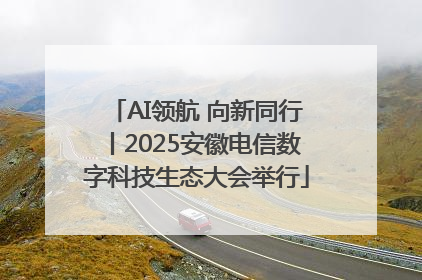 AI领航 向新同行丨2025安徽电信数字科技生态大会举行